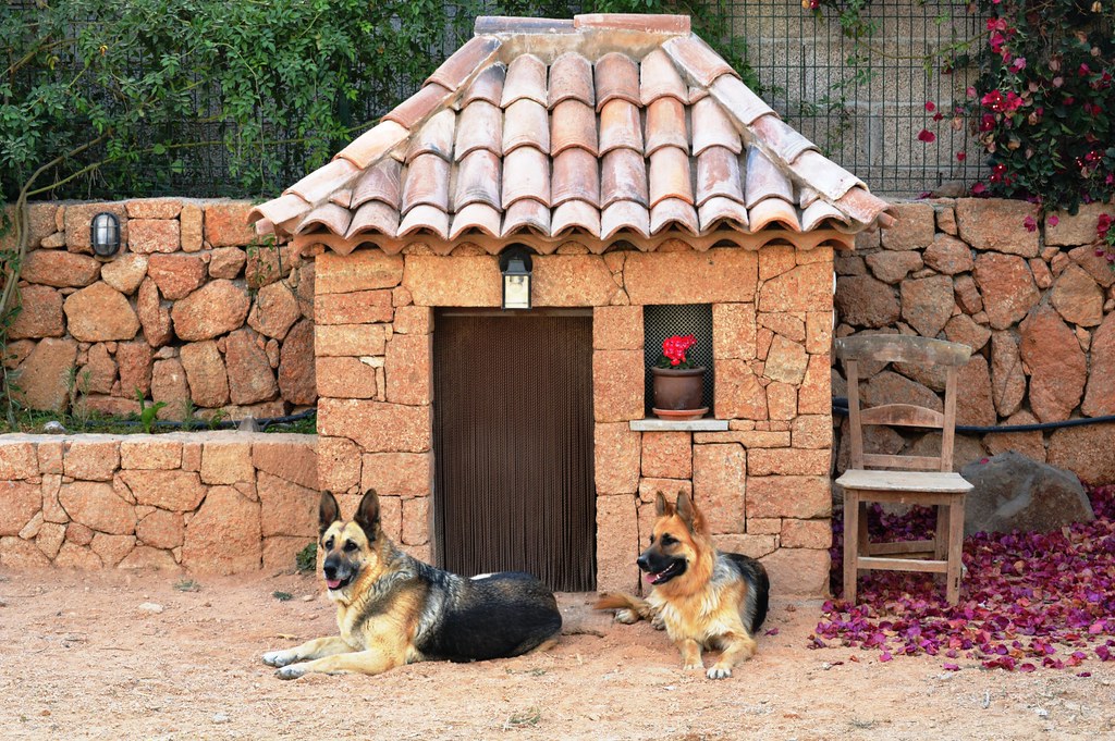 Best Dog Houses