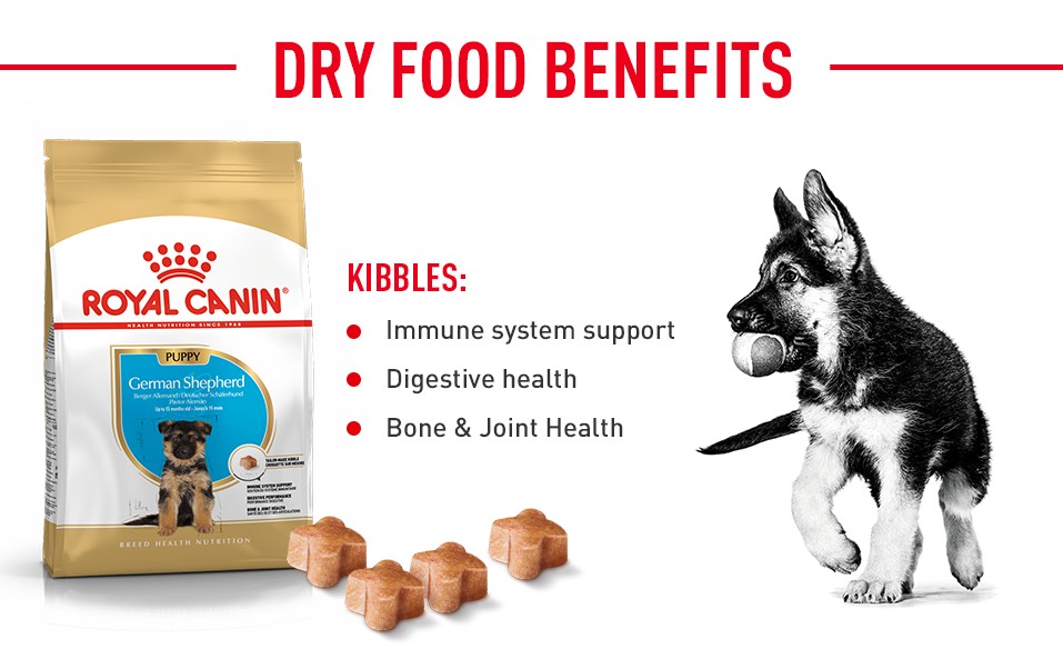 Top Royal Canin - German Shepherd - Dry Food Benefits