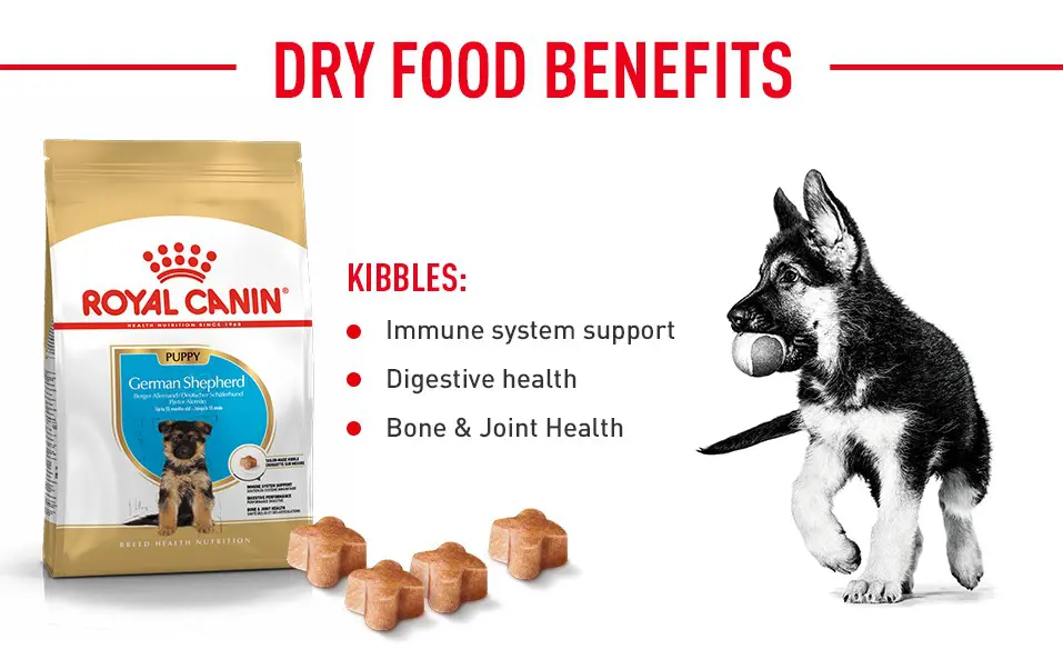 Top food for outlet german shepherd